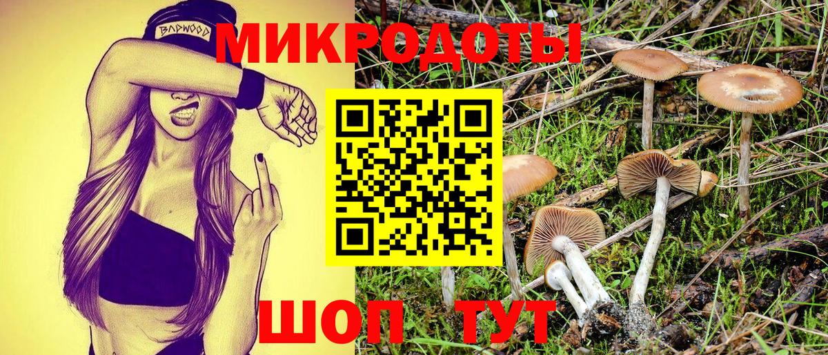 Галлюциногенные грибы GOLDEN TEACHER Юрга
